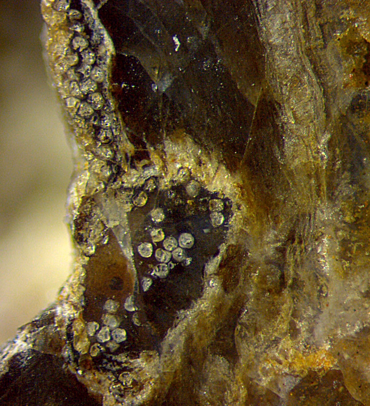 ZWEITES BILD - cavity zoomed in