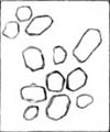 cell-size clots in Permian wood: no coprolites