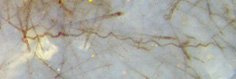 wavy fungus hyphae