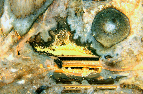 Stack of coloured layers, among them empty ones, in a cavity in Rhynie chert