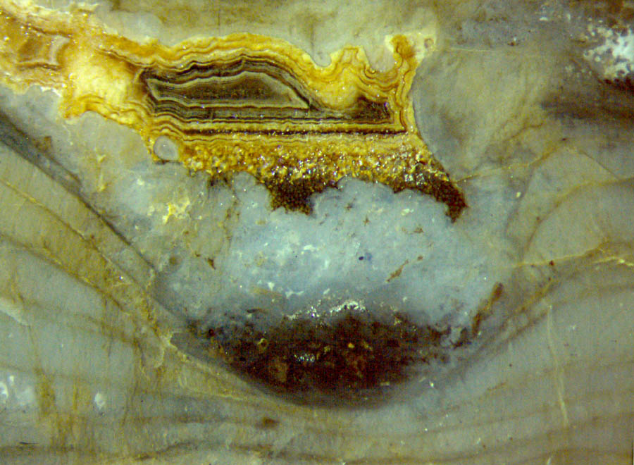 agate and cyanobacteria